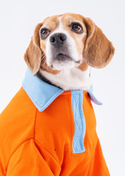 Booply Polo Paws T-Shirt - Orange Pop