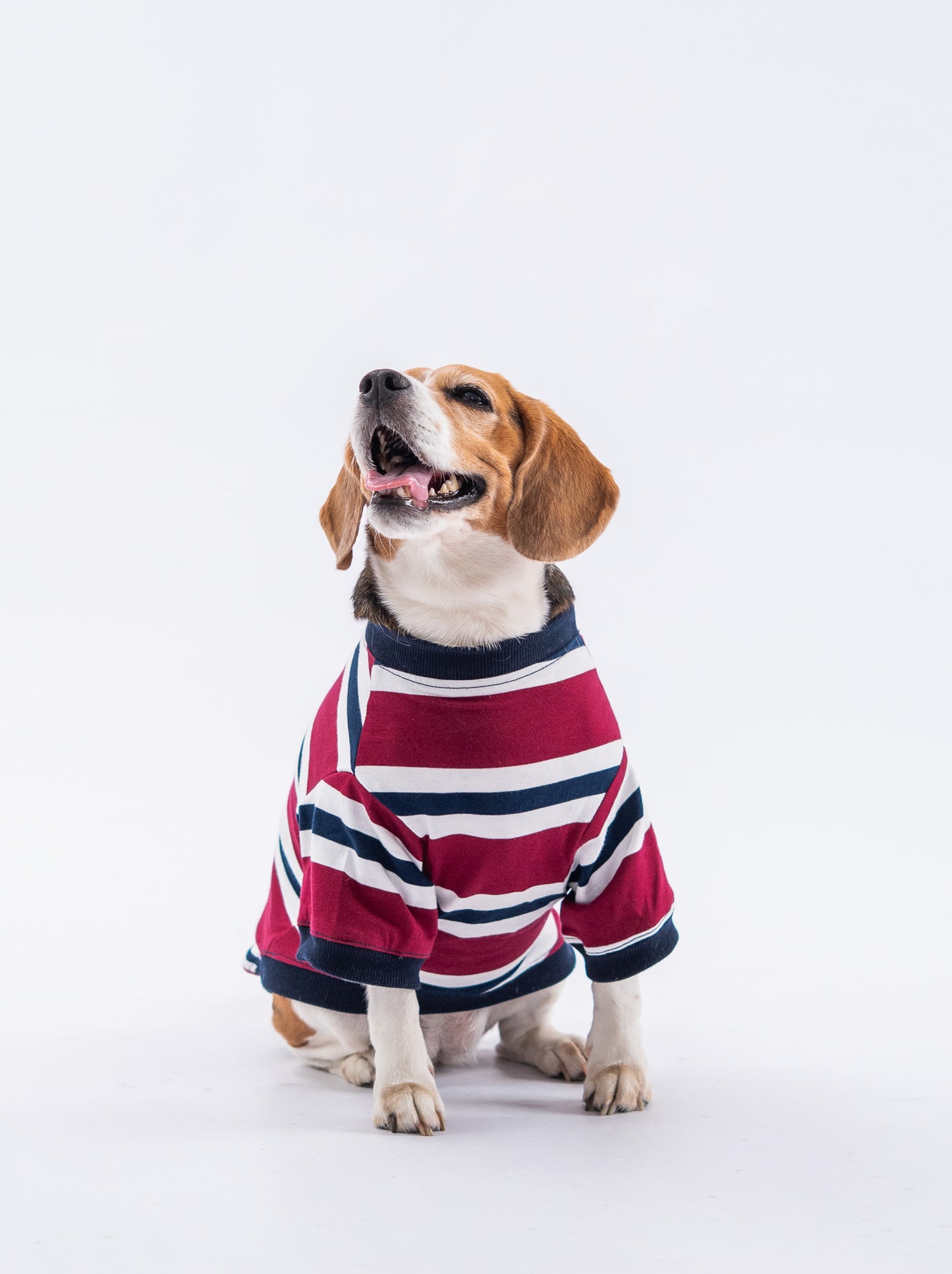 Booply Classic Stripe T-Shirt – Maroon Navy
