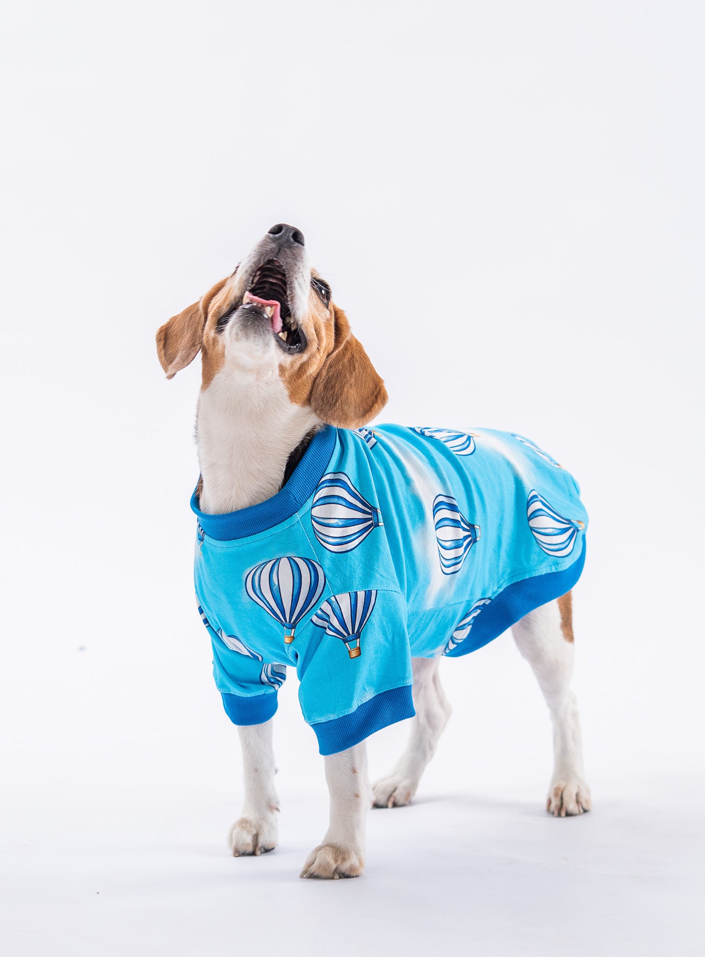 Booply Balloon Tee – Sky Blue