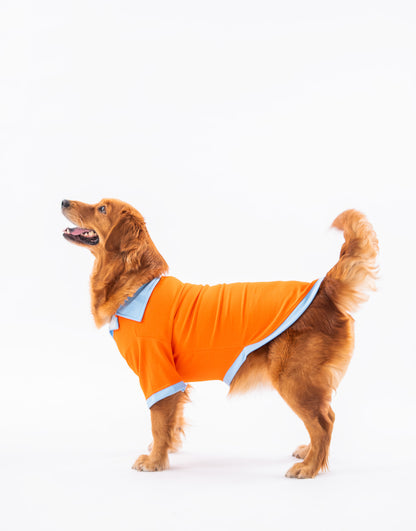 Booply Polo Paws T-Shirt – Orange Pop