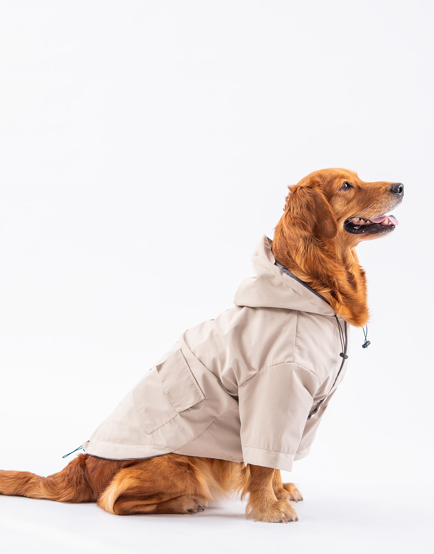 Booply RainShield Dog Raincoat – Sand Beige