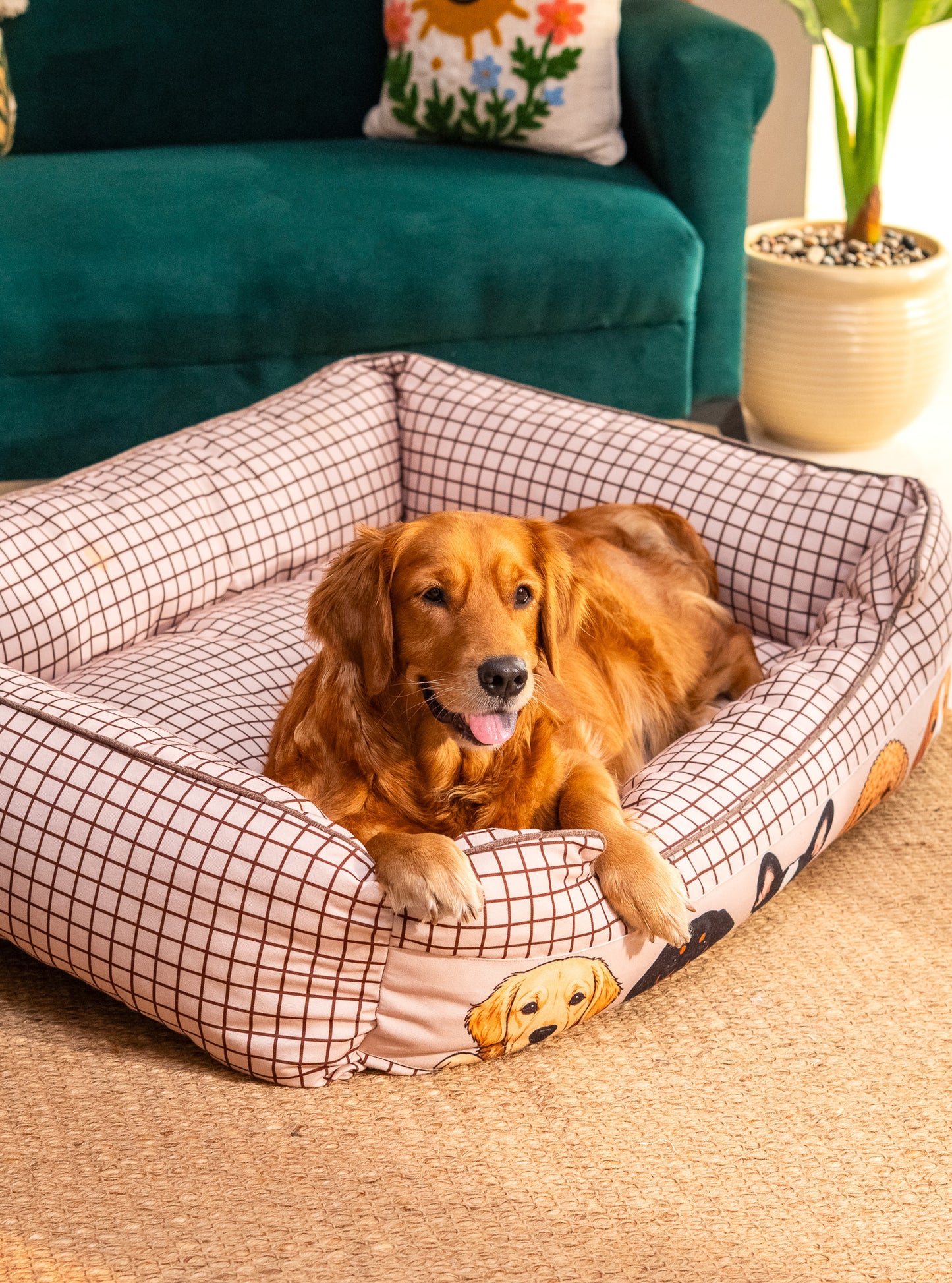 Peek-a-boo Bed For Dog