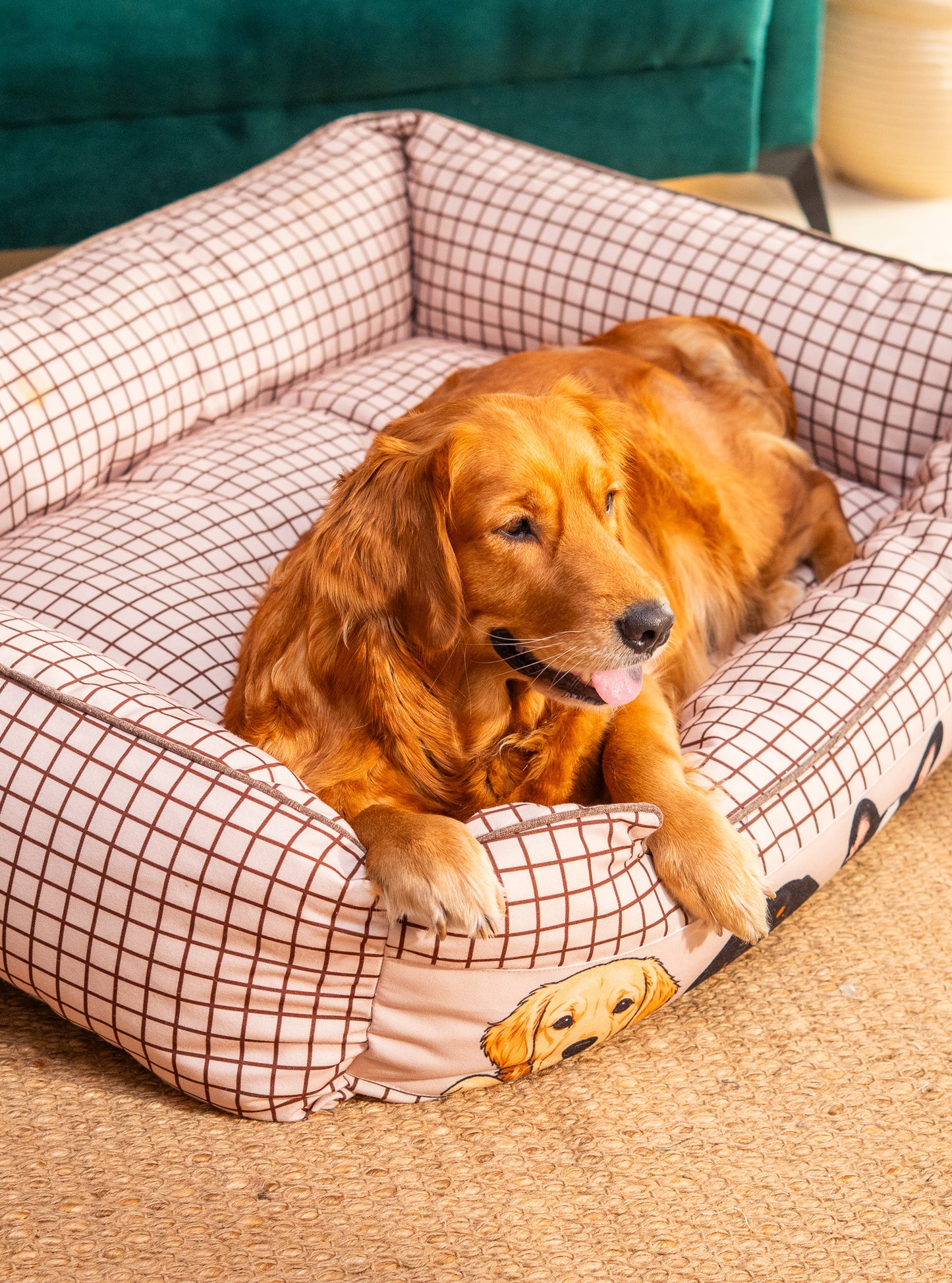 Peek-a-boo Bed For Dog