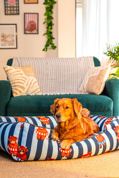 Blue Moo Crew Bed for Dog
