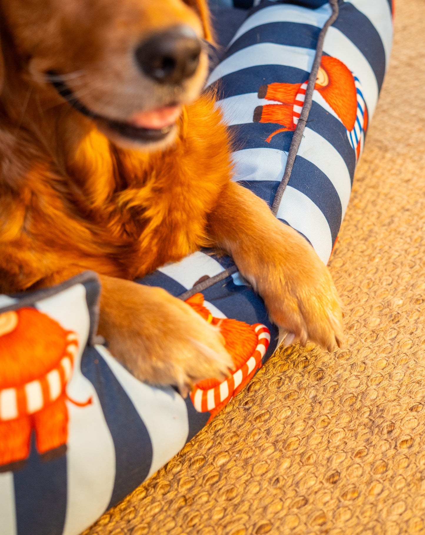 Blue Moo Crew Bed for Dog