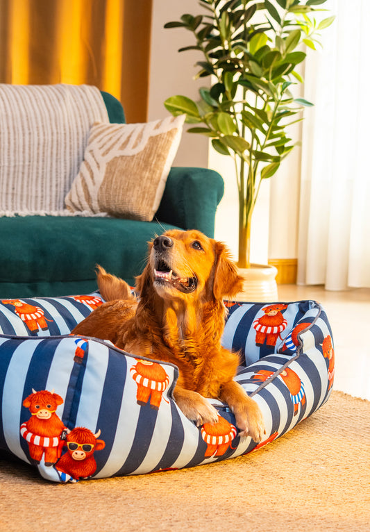 Blue Moo Crew Bed for Dog