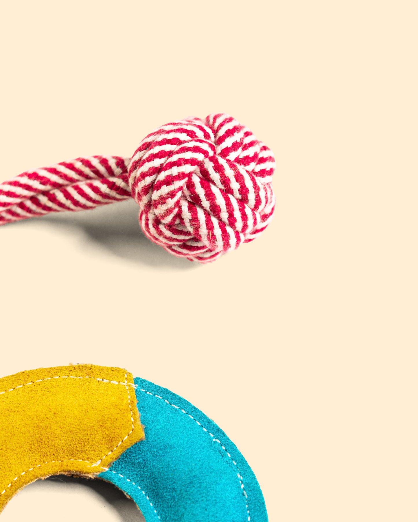The Carnival Ring Tug & Rope Toy for Dogs