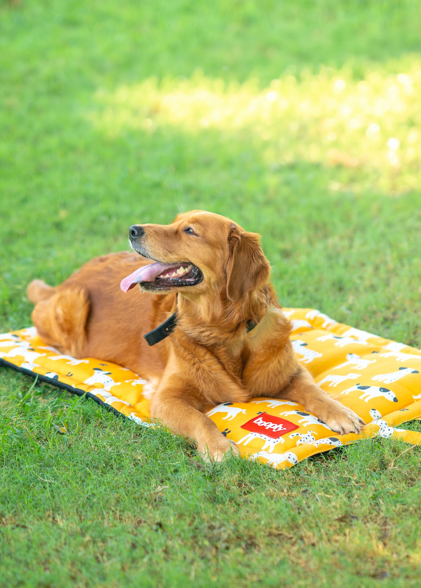 Sunshine Snooze Mat for Dog & Cat