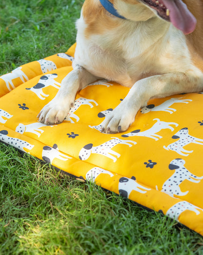 Sunshine Snooze Mat for Dog & Cat