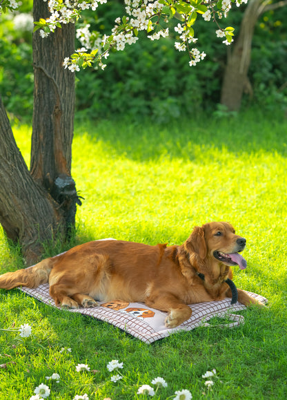 Peek-a-Boo Mat for Dog & Cat