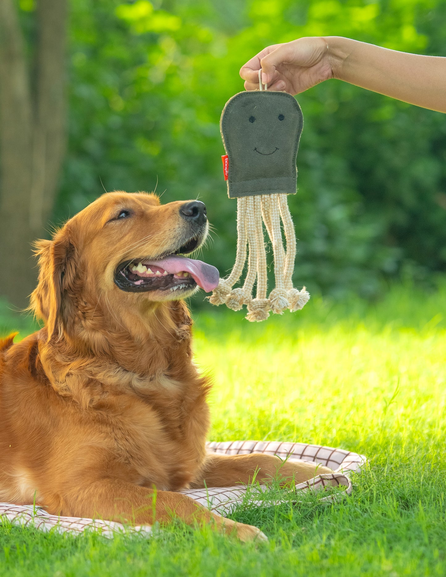 The Forest Jelly Rope Toy for Dogs
