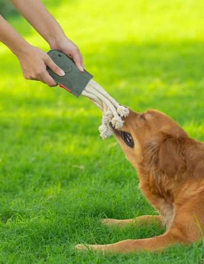 The Forest Jelly Rope Toy for Dogs