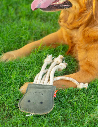 The Forest Jelly Rope Toy for Dogs