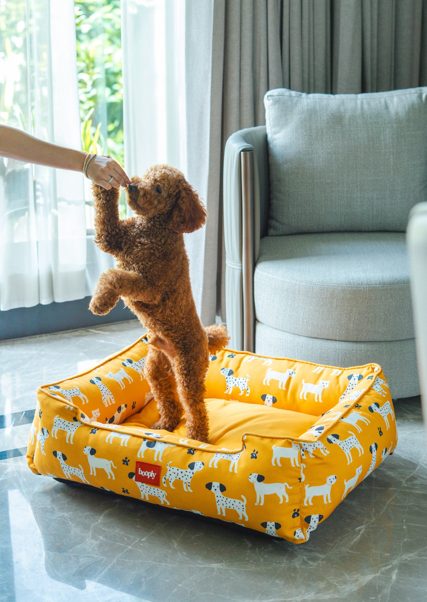 Sunshine Snooze Bed for Dog