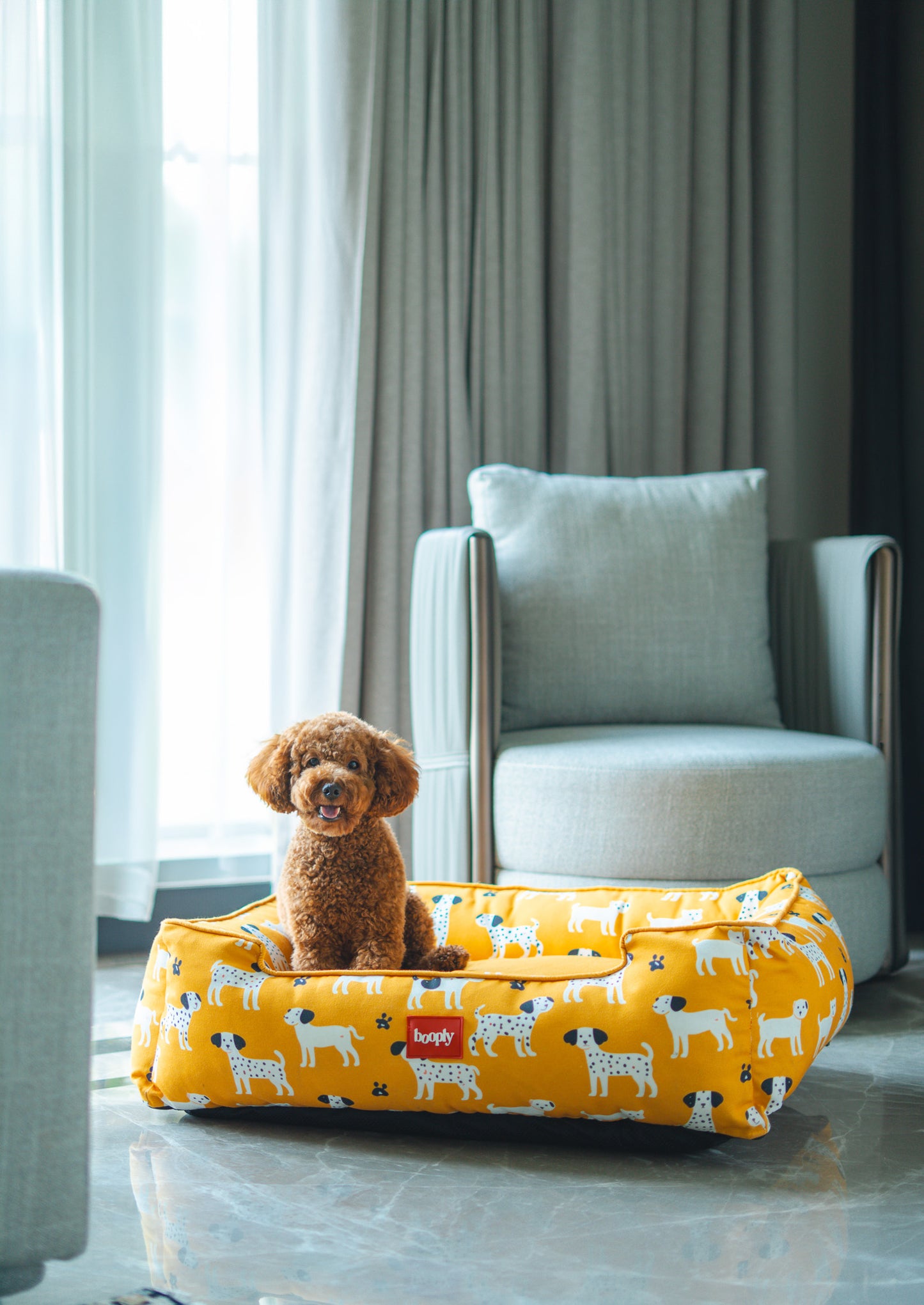 Sunshine Snooze Bed for Dog