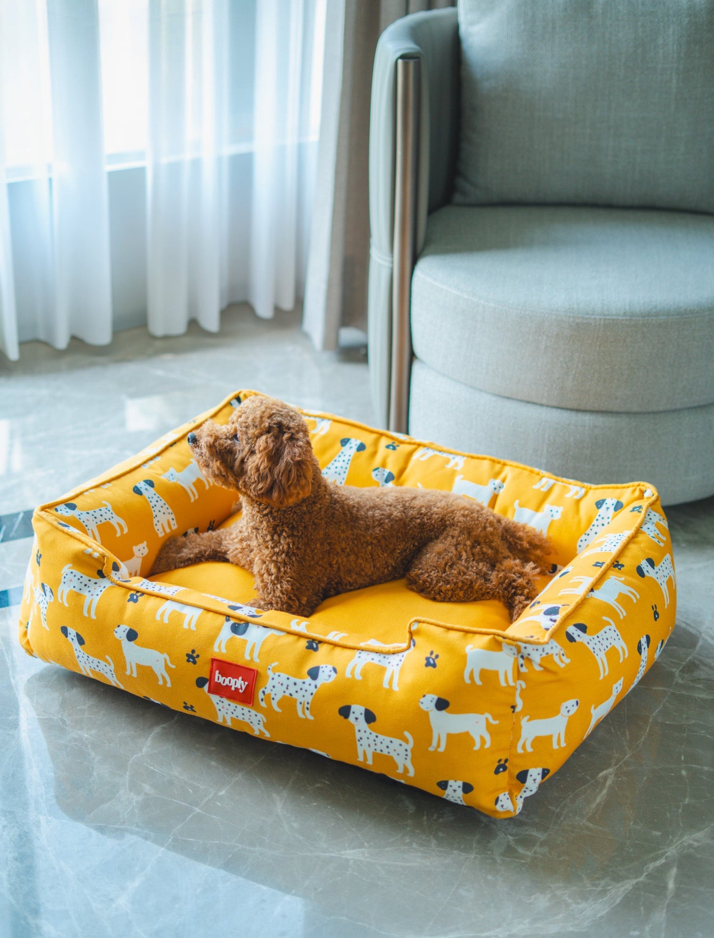 Sunshine Snooze Bed for Dog