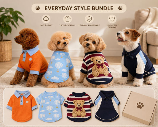 The Everyday Style Bundle 