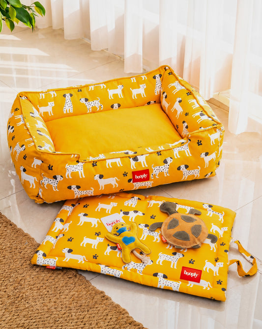Sunshine Snooze Kit | Cozy Bed, Play Mat & Suede Pet Toys Set