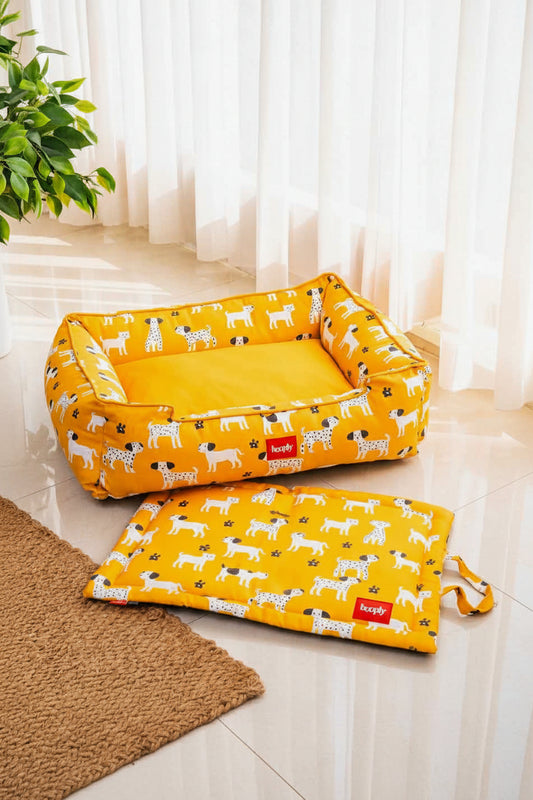 Sunshine Snooze Cozy Nap Bundle