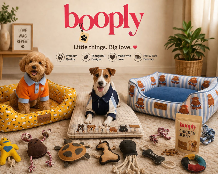 Happy pet with booply