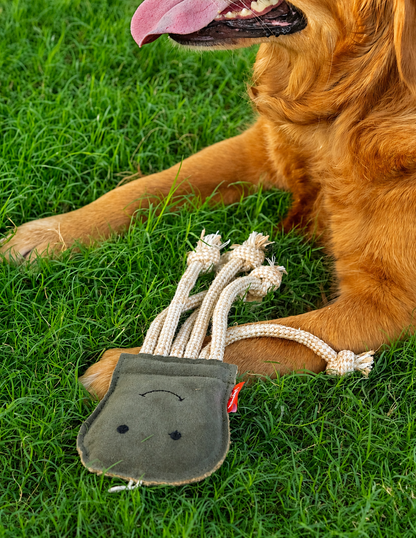 The Forest Jelly Rope Toy for Dogs